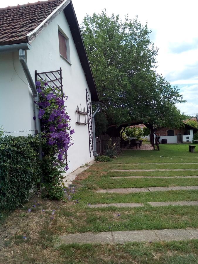 Kiad-Lak Apartmanok - Szep Kartya Elfogado Abadszalok Exterior photo